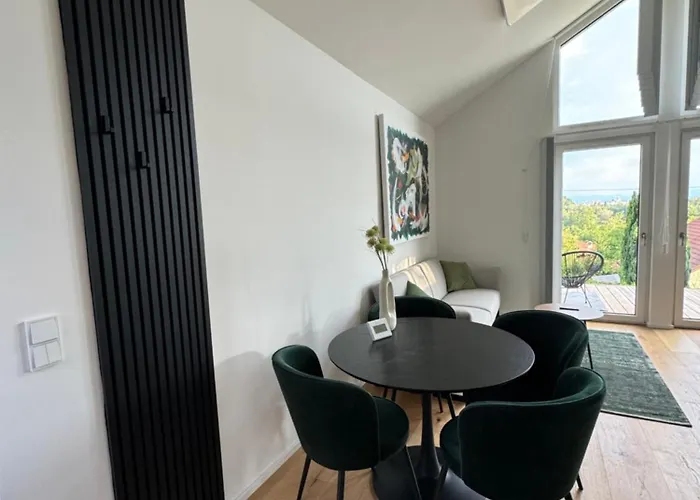 Superior Tiny Apartament Linz